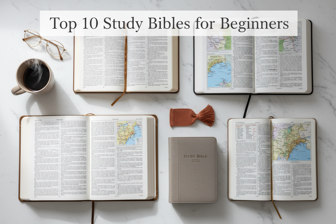 Top 10 Study Bibles for Beginners: Find the Perfect Bible to Start Your Faith Journey