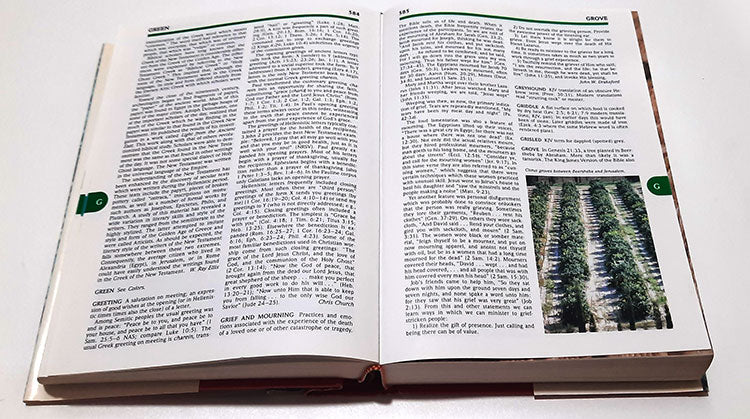 Holman Bible Dictionary - Hardcover