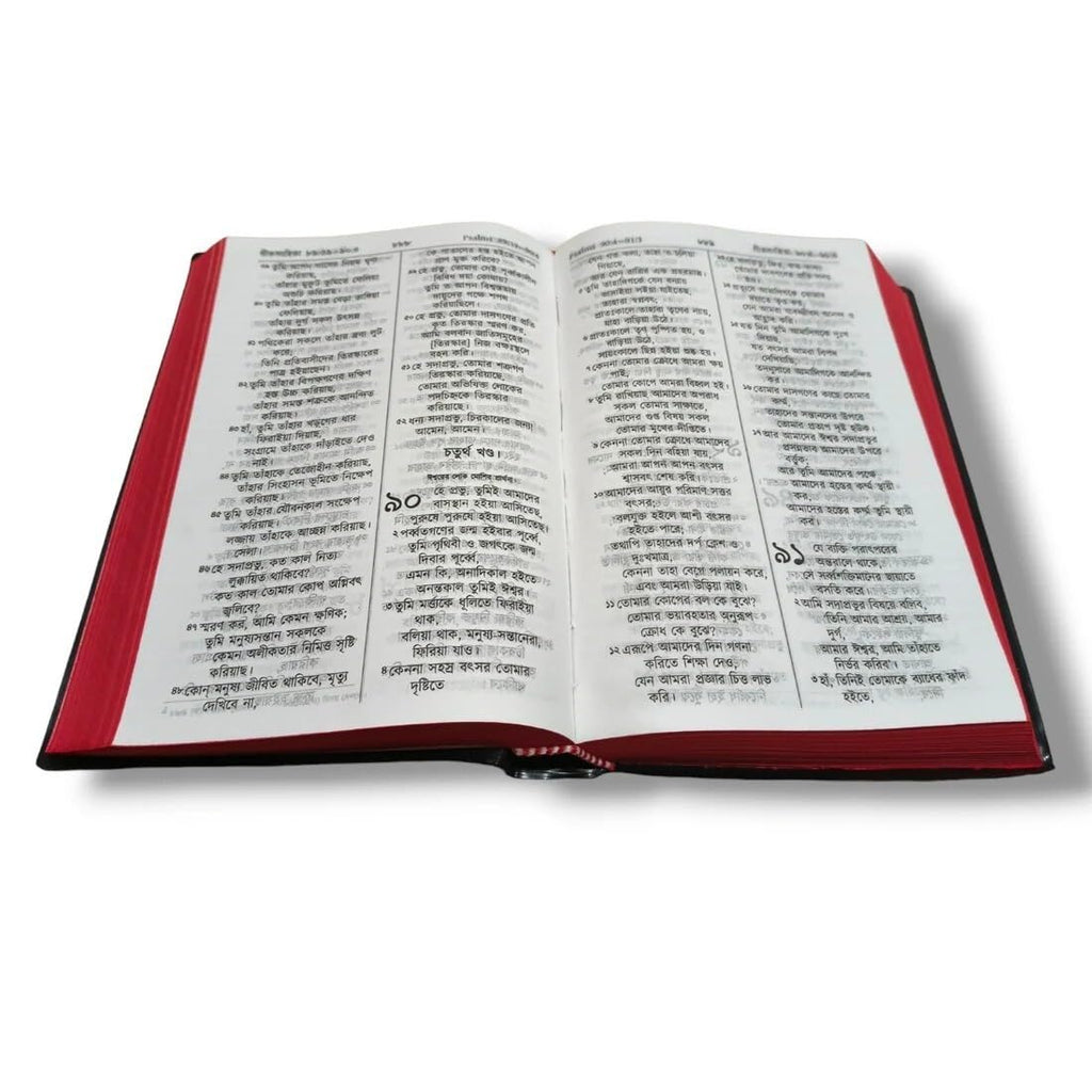 Bengali Holy Bible NEW (বাংলা বাইবেল)  Red Side Edges | Complete Old & New Testament in Bengali Language