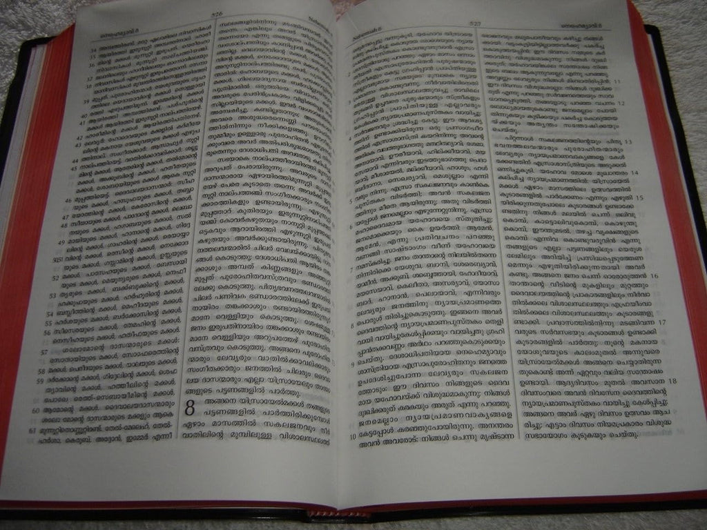MALAYALAM  HOLY BIBLE NEW - (RED EDGES) New Font CONTAINING OLD AND NEW TESTAMENT