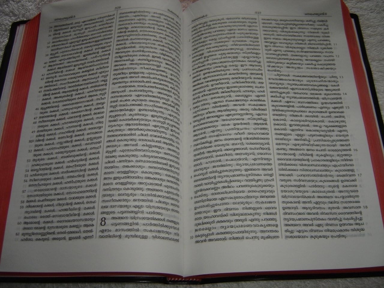 MALAYALAM  HOLY BIBLE NEW - (RED EDGES) New Font CONTAINING OLD AND NEW TESTAMENT