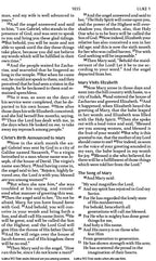 NKJV Large Print - HOLY BIBLE - Paperback