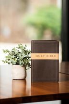 Premium Gift Bible Imitation Leather