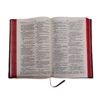 Kannada Holy Bible NEW - (ಕನ್ನಡ ಪವಿತ್ರ ಬೈಬಲ್) – Flexi bound Edition with Red Side Edges
