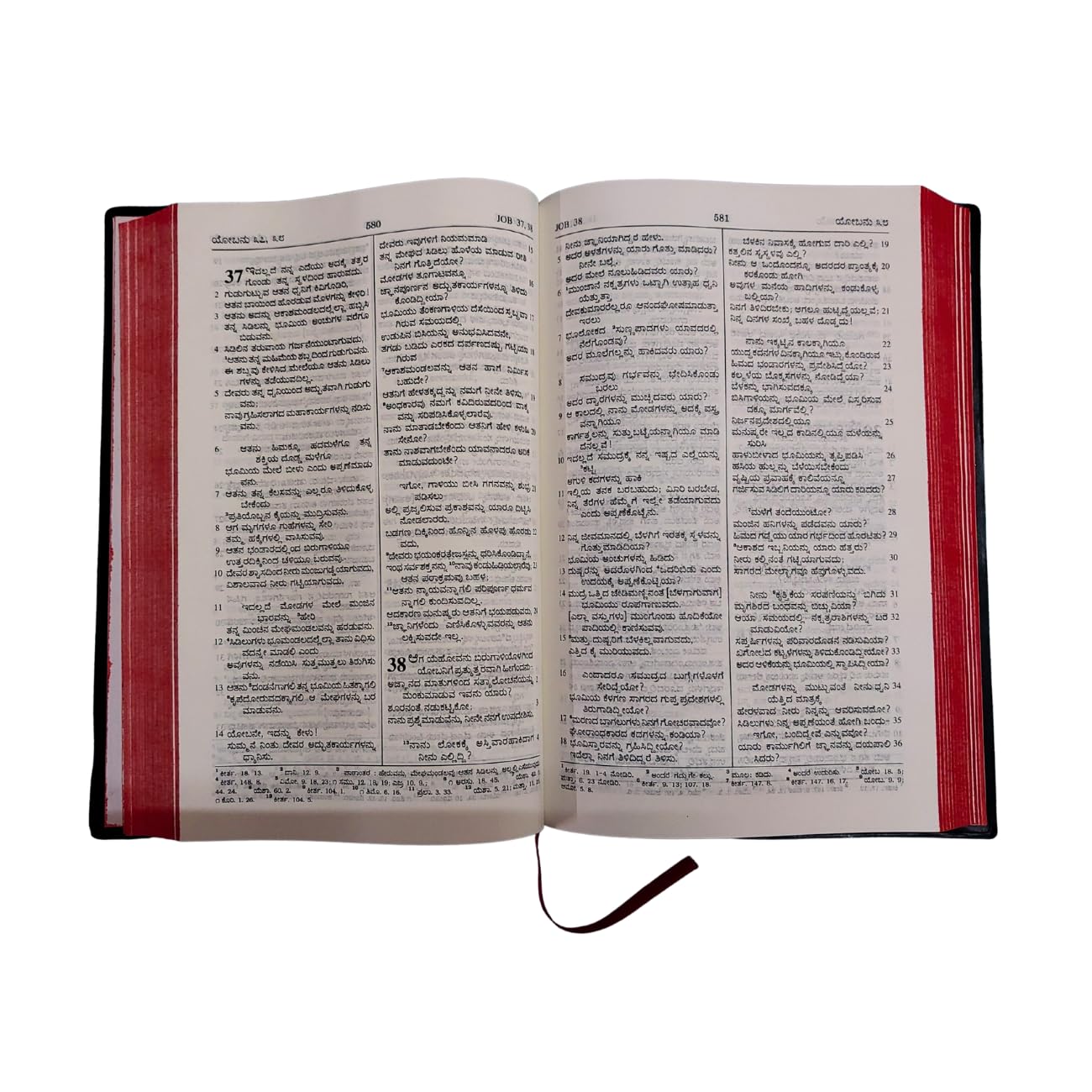 Kannada Holy Bible NEW - (ಕನ್ನಡ ಪವಿತ್ರ ಬೈಬಲ್) – Flexi bound Edition with Red Side Edges