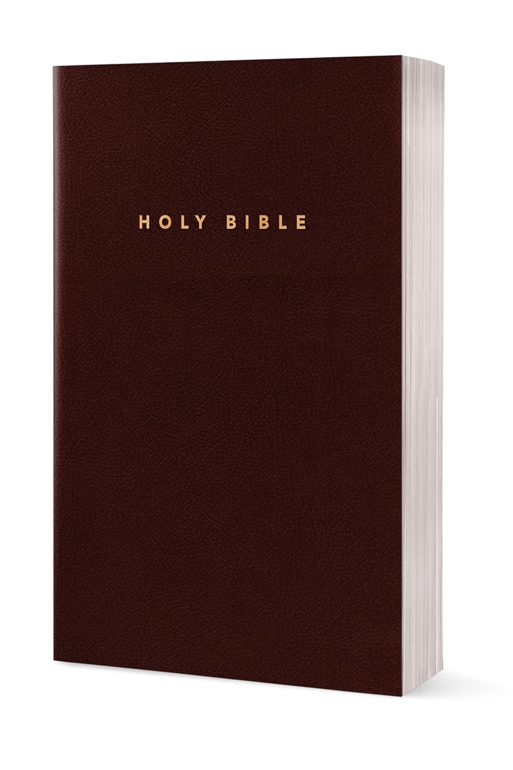 Holy Bible: New Living Translation, Burgundy Leather, Gift and Award Edition (Gift and Award Bible: New Living Translation-2) Imitation Leather