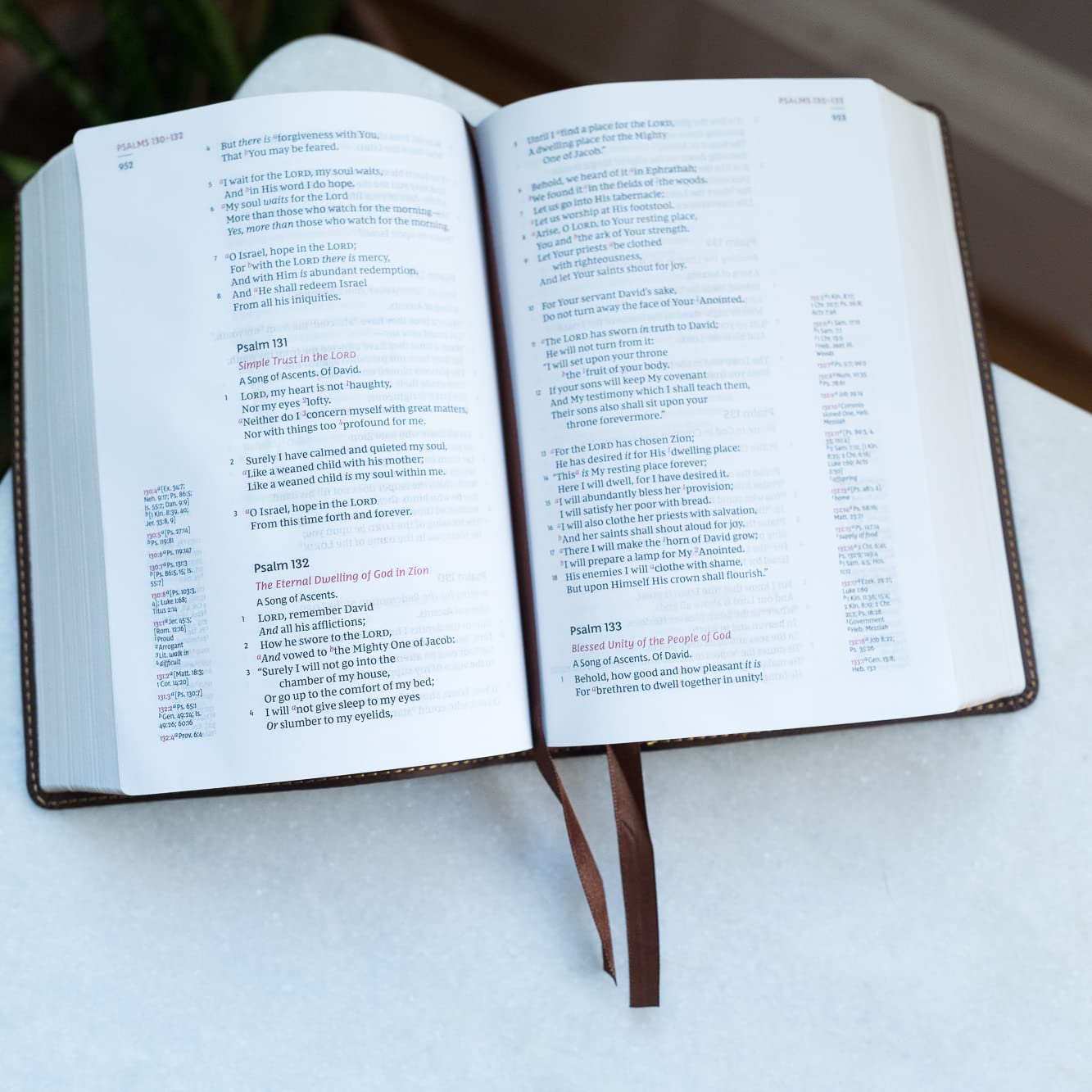 NKJV, Compact Single-Column Reference Bible, Leathersoft, Brown, Comfort Print: Holy Bible, New King James Version - hardbound