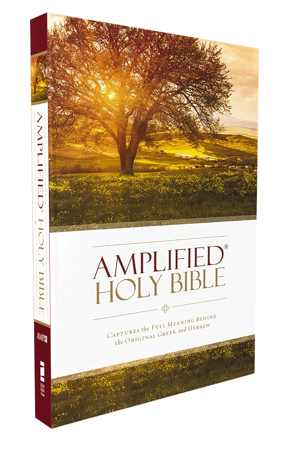 AMPLIFIED HOLY BIBLE SC Paperback
