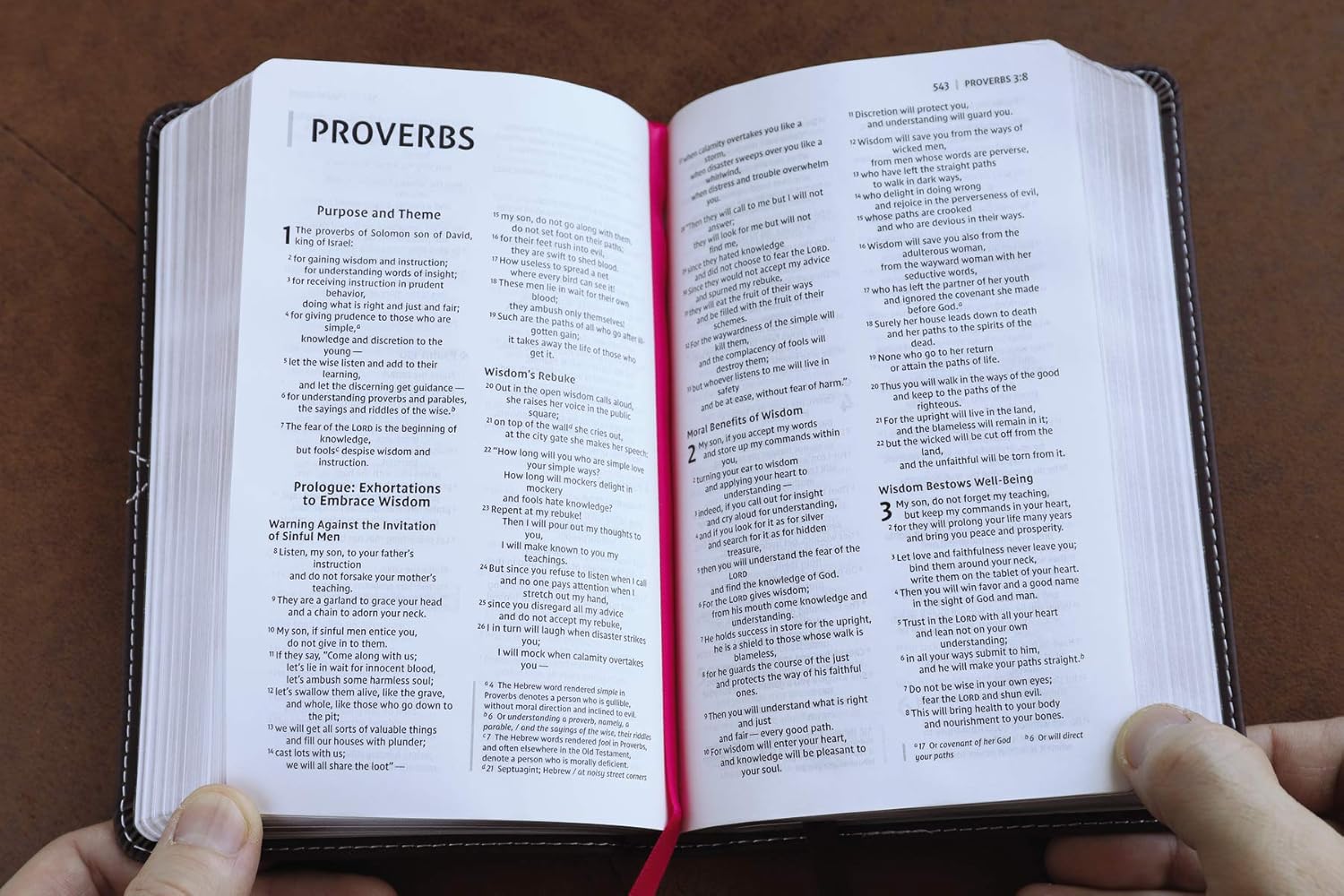 NIV, Thin line Bible, Compact, Imitation Leather, Pink/Brown, Red Letter Edition Imitation Leather