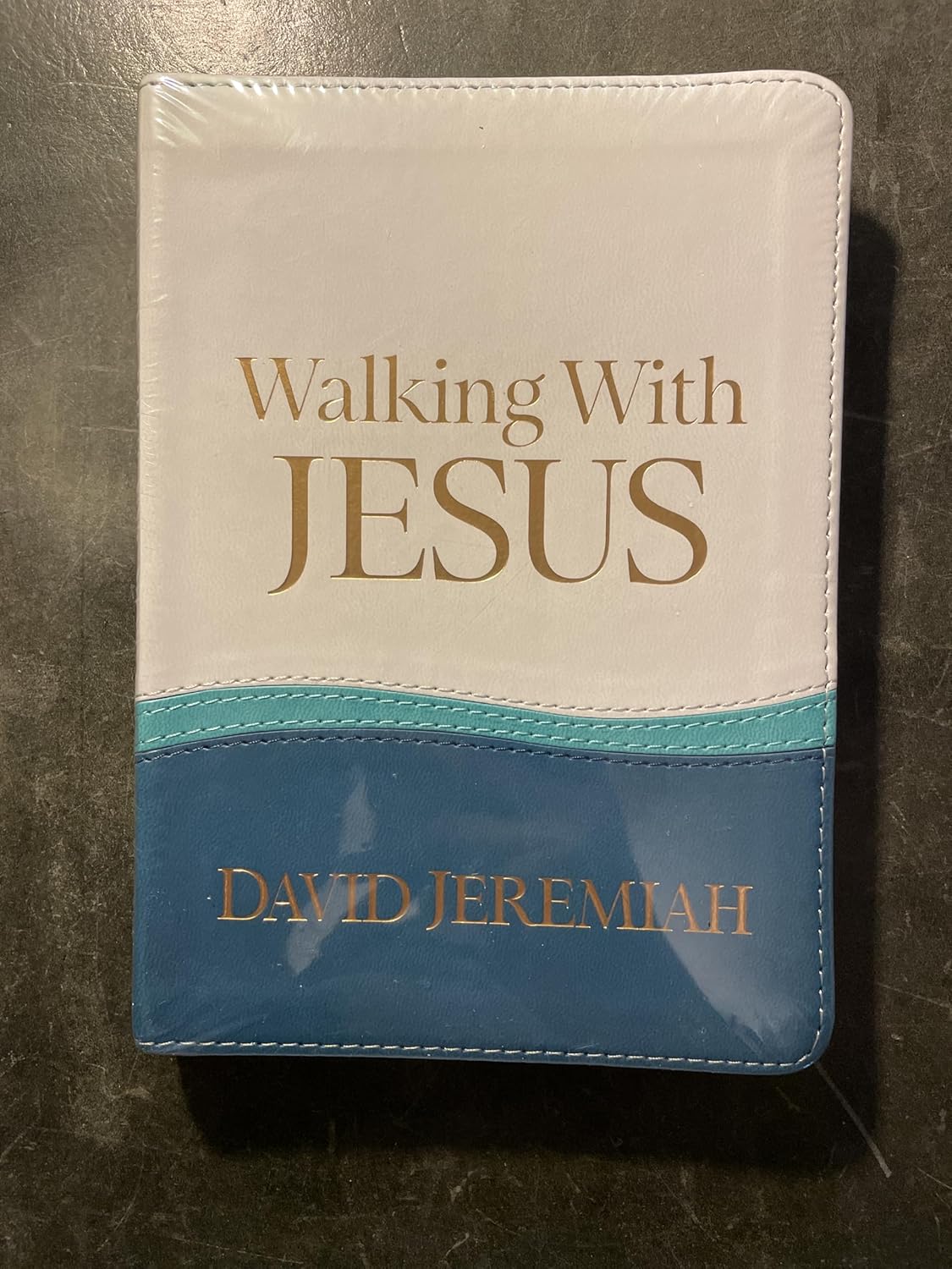 Walking With Jesus 2024 Turning Point Leather Devotional Leather Bound