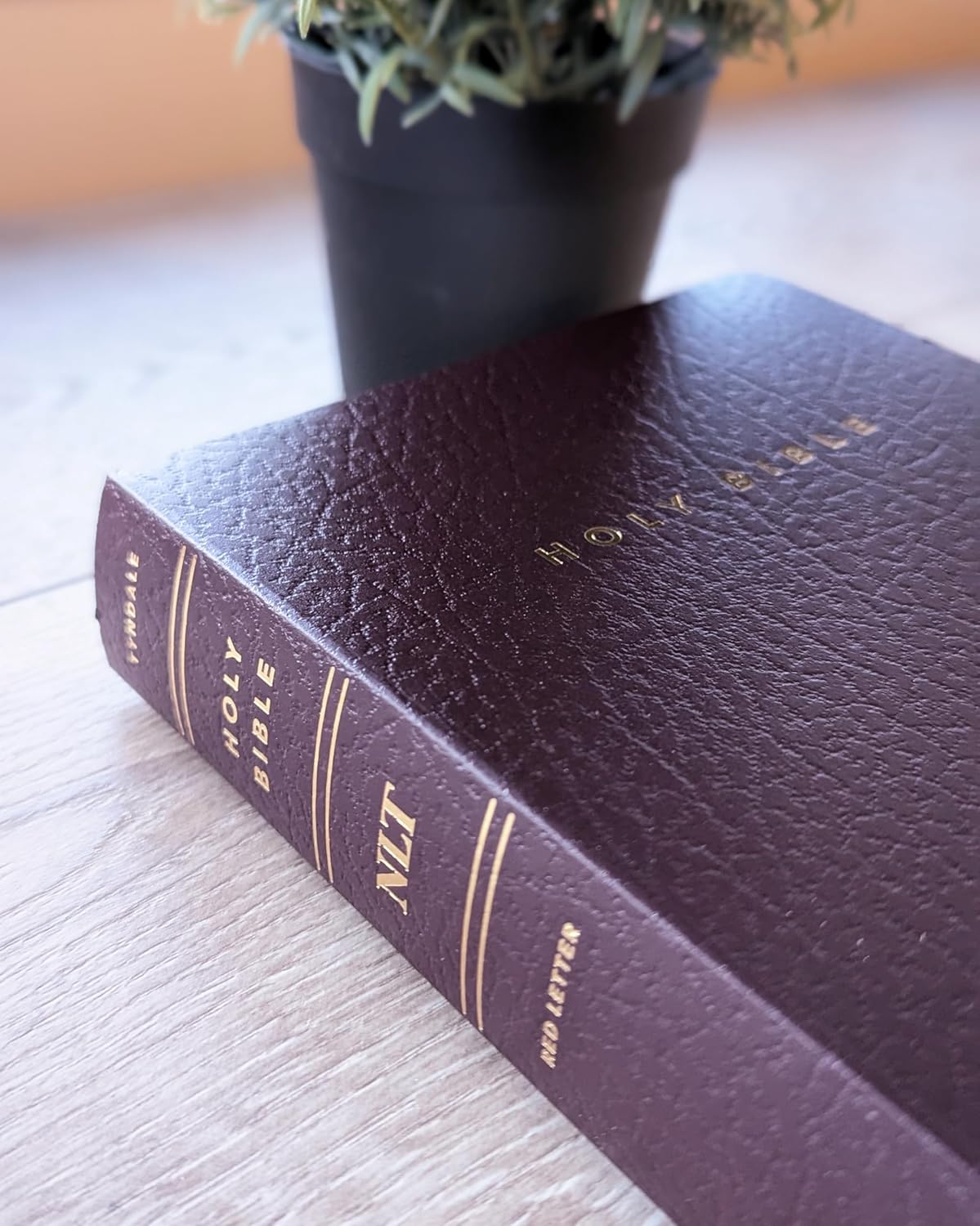 Holy Bible: New Living Translation, Burgundy Leather, Gift and Award Edition (Gift and Award Bible: New Living Translation-2) Imitation Leather