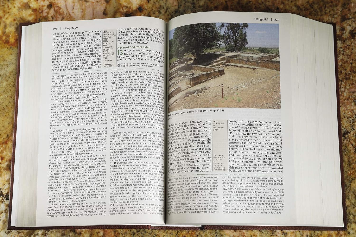 NRSV, Cultural Backgrounds Study Bible, Hardcover, Comfort Print Hardcover - some papers missing