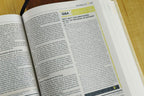 Niv, Starting Place Study Bible, Hardcover, Comfort Print Hardcover