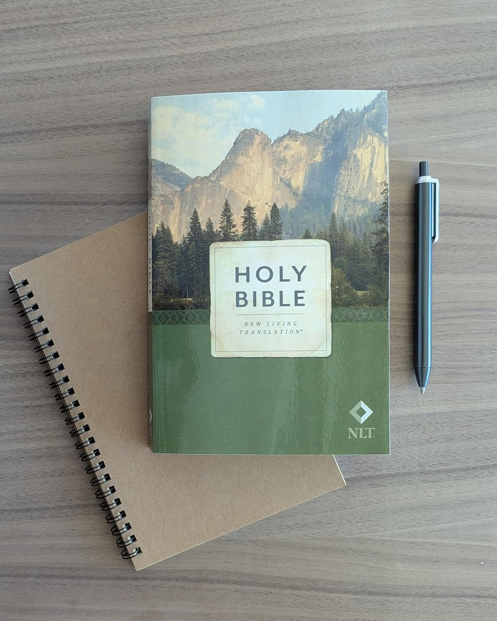 Holy Bible: New Living Translation, Economy Outreach Edition Paperback