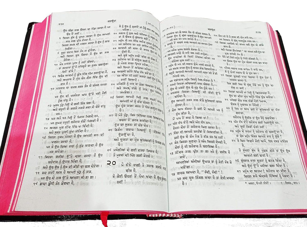 Holy Bible Punjabi NEW - Red Edge Contains Old And New Testament BSI