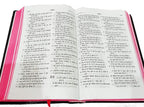 Holy Bible Punjabi NEW - Red Edge Contains Old And New Testament BSI