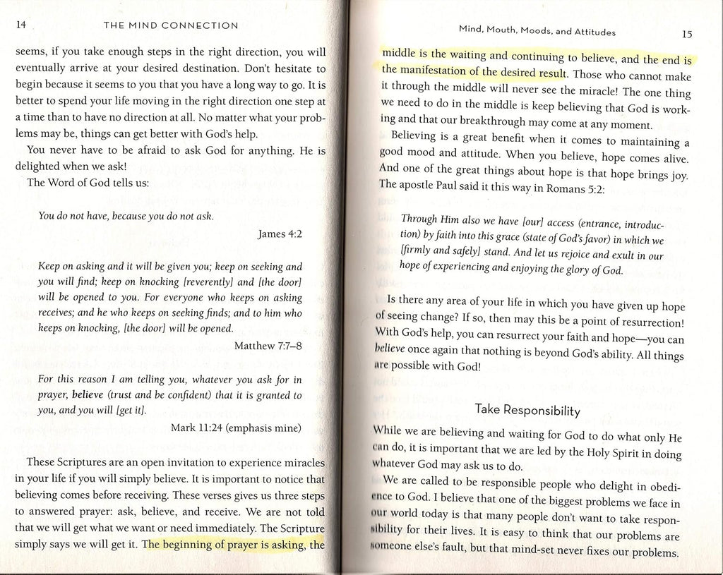 The Mind Connection: How the Thoughts You Choose Affect Your Mood, Behavior, and Decisions
