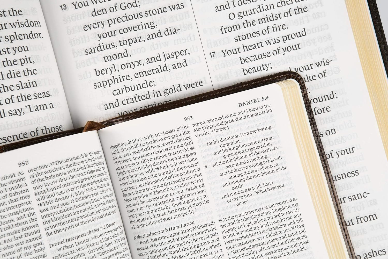 ESV Super Giant Print Bible