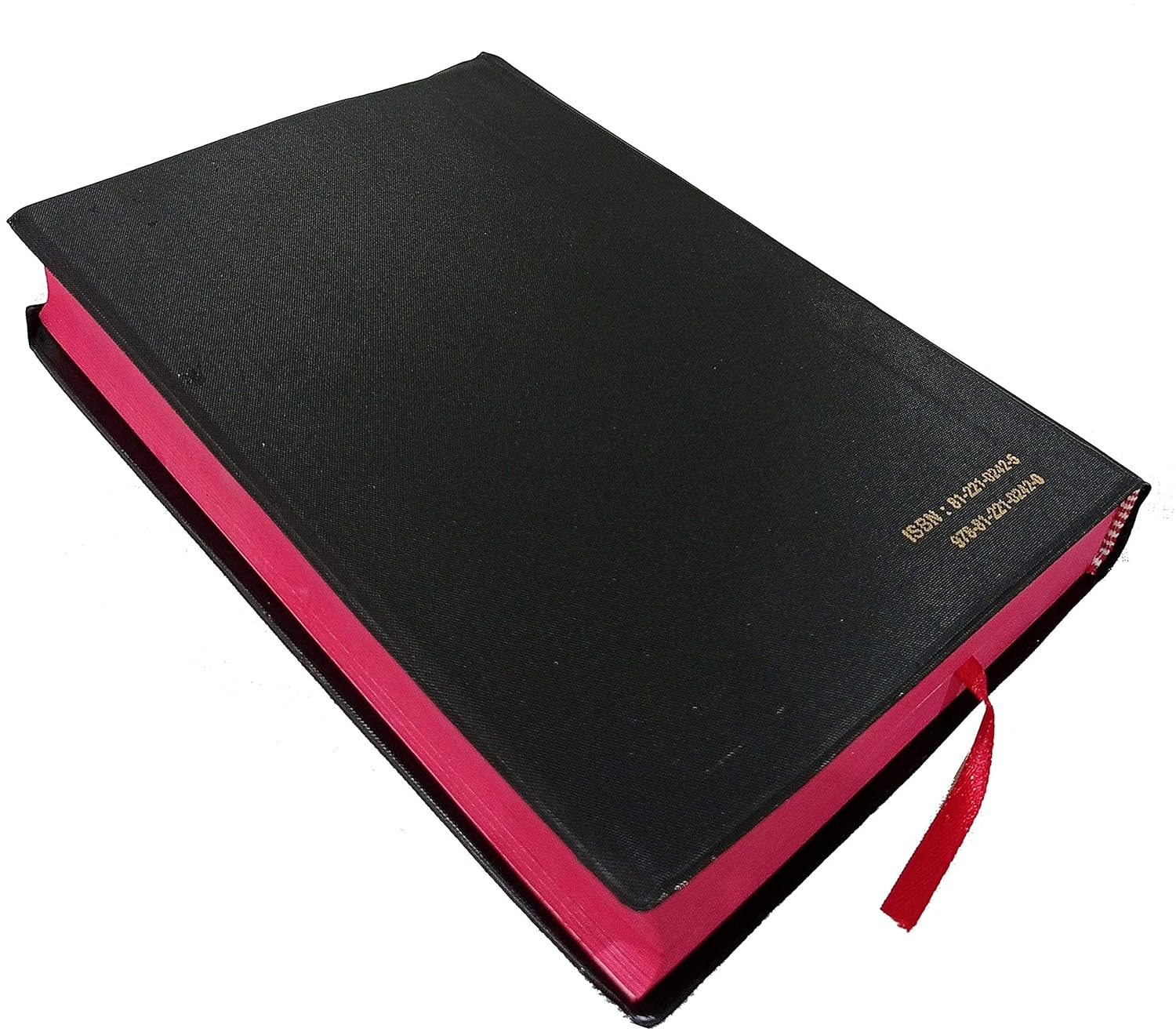Holy Bible Punjabi NEW - Red Edge Contains Old And New Testament BSI