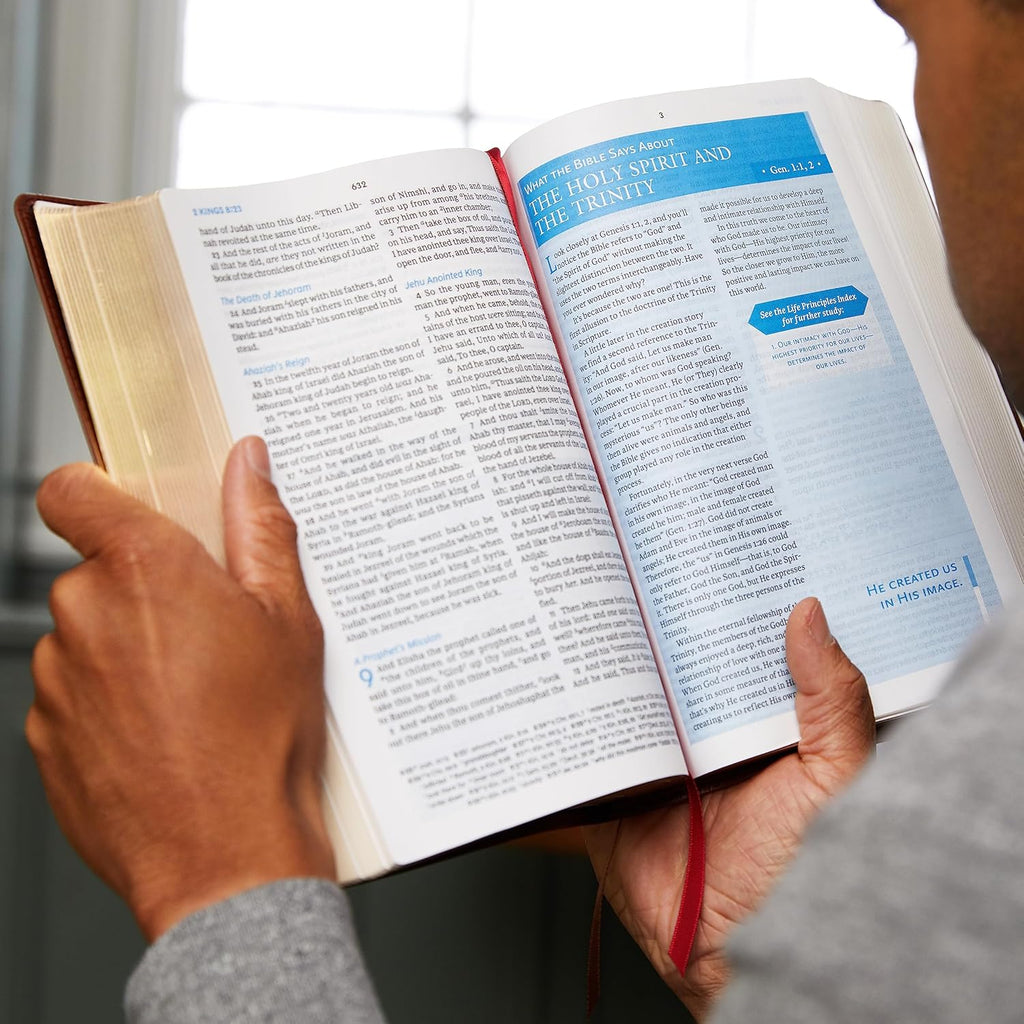 Kjv, Charles F. Stanley Life Principles Bible, 2nd Edition, Leathersoft, Burgundy, Indexed, Comfort Print: Growing in Knowledge and Understanding of God Through His Word Imitation Leather