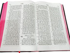 Holy Bible Punjabi NEW - Red Edge Contains Old And New Testament BSI
