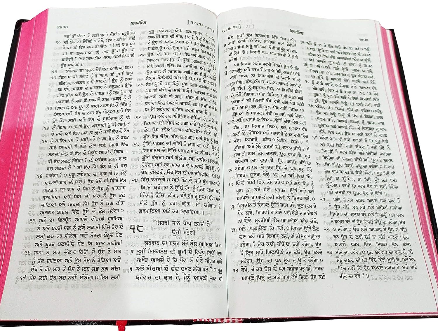 Holy Bible Punjabi NEW - Red Edge Contains Old And New Testament BSI