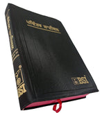 Holy Bible Punjabi NEW - Red Edge Contains Old And New Testament BSI