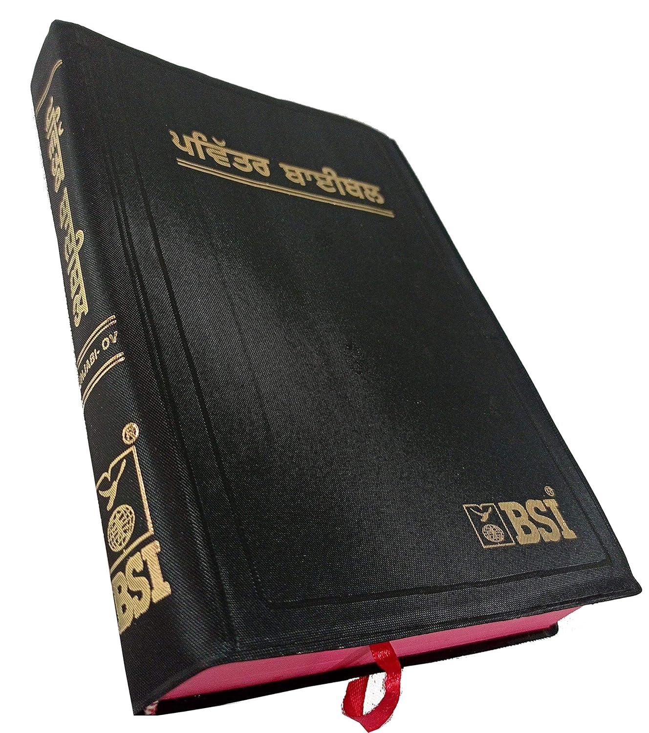 Holy Bible Punjabi NEW - Red Edge Contains Old And New Testament BSI