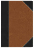 Holy Bible: King James Version, Black/Tan, Leather touch, Personal Size Study Bible Imitation Leather