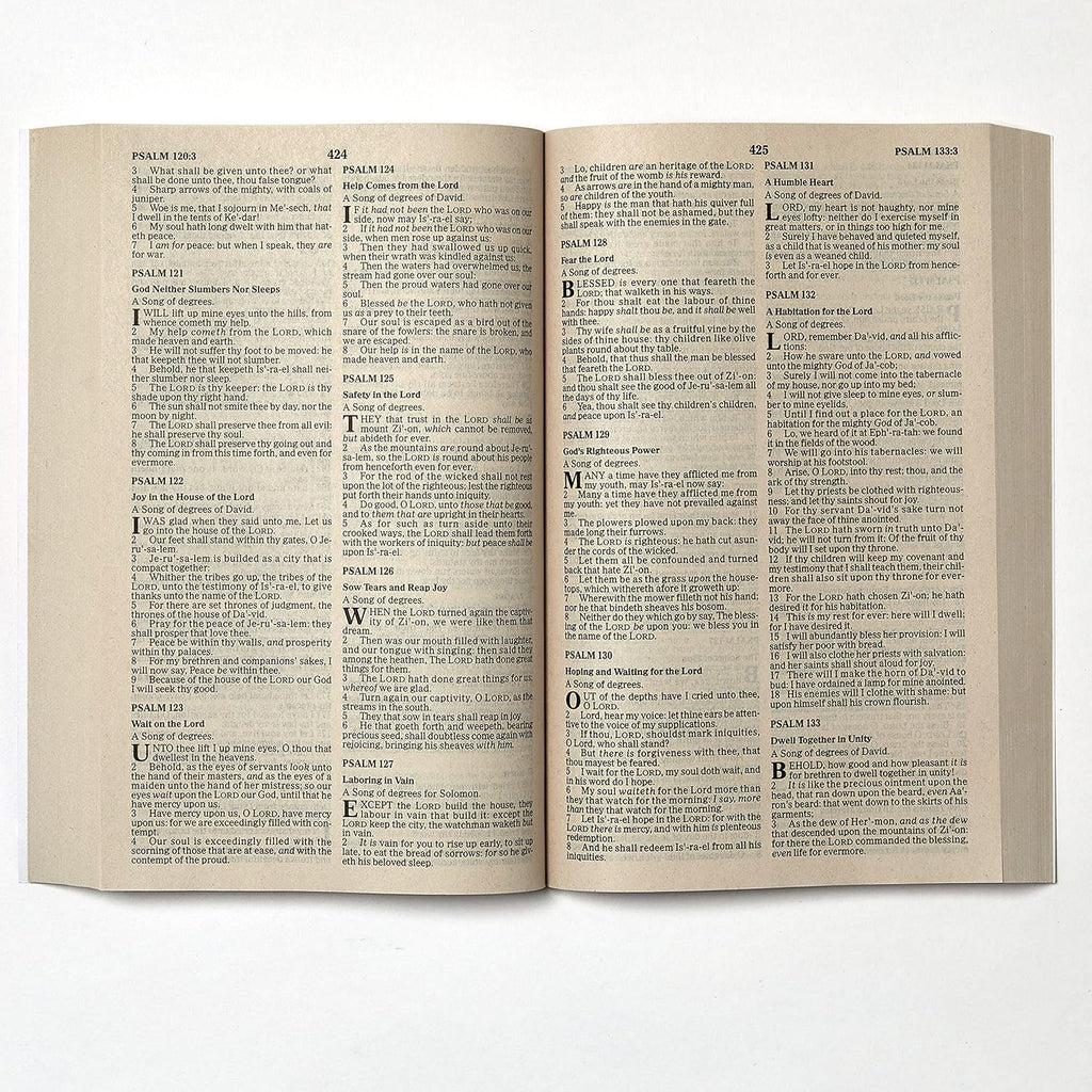 KJV, Value Outreach Bible, Paperback BRAND NEW