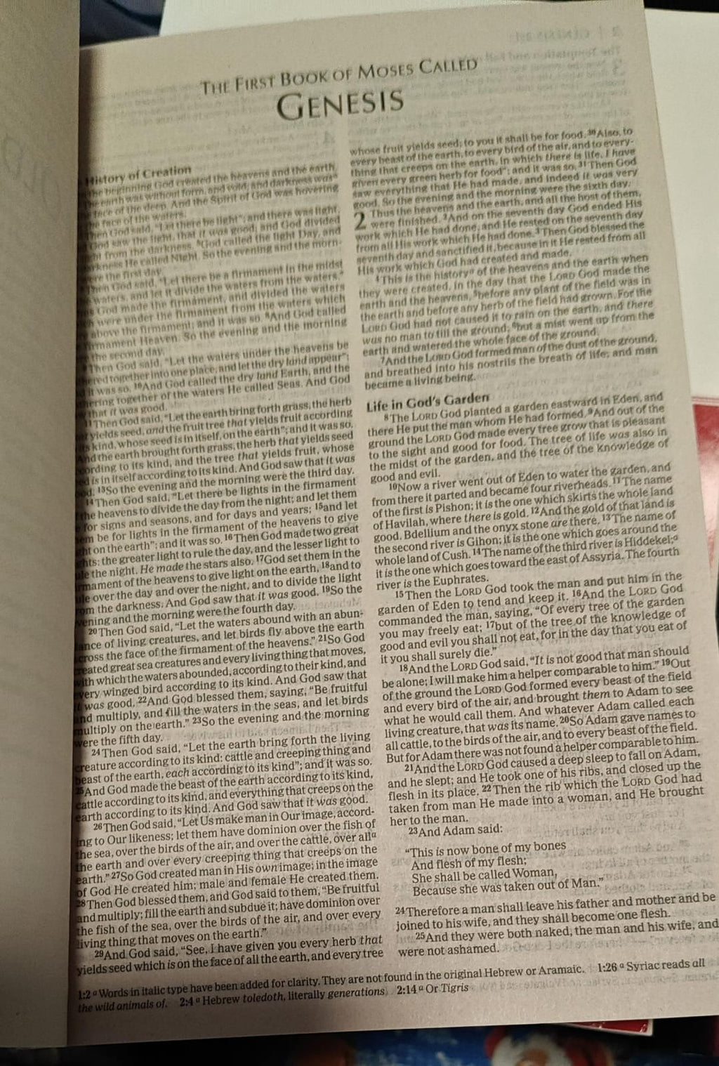 Economy Bible-NKJV: Beautiful. Trustworthy. Today Paperback