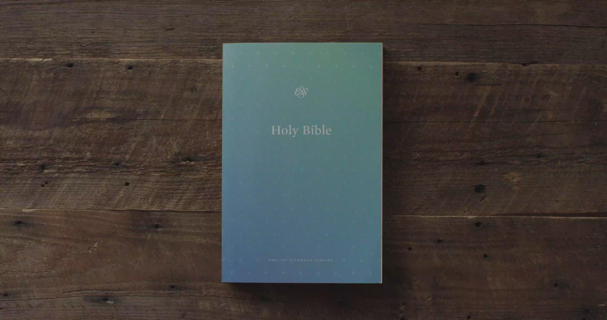 ESV Outreach Bible Paperback -( For Bulk Contact with us)