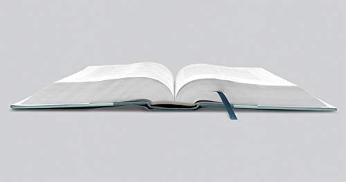 ESV Women's Study Bible - With Out Cover NEW
