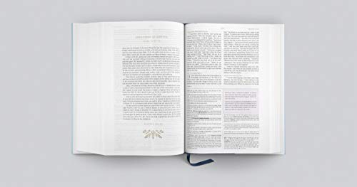 ESV Women's Study Bible - With Out Cover NEW