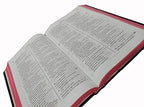 TELUGU HOLY BIBLE(NEW ) BSI Version Containing Old and New Testament